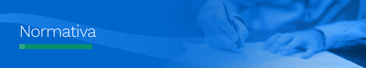 02 normativa-100 02 normativa-100